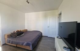 Apartament cu 2 camere, mobilat modern, 32 mp, Andrei Muresanu