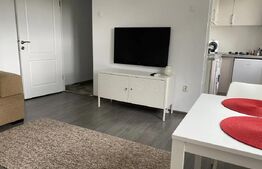 Apartament cu 2 camere, mobilat modern, 32 mp, Andrei Muresanu