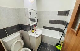 Garsonieră mobilată cu centrală proprie, zona Noua