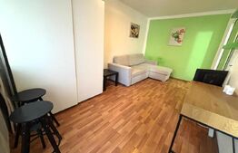 Garsonieră mobilată cu centrală proprie, zona Noua