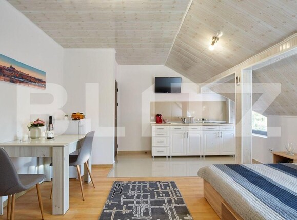 Garsonieră de închiriat Zorilor - 194026AI | BLITZ Cluj-Napoca | Poza1