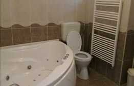 Casa de inchiriat, 450 mp, garaj, zona cu acces facil!
