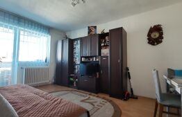 Apartament 2 camere, renovat , panoramă, comision 0%