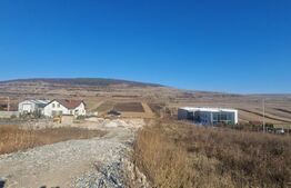 Teren pentru hala industriala/ Valcele / DN E60
