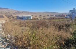 Teren pentru hala industriala/ Valcele / DN E60