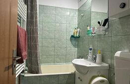 Apartament 2 camere, zona linistita, aer conditionat, boxa