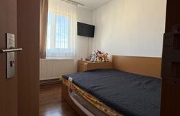 Apartament 2 camere, zona linistita, aer conditionat, boxa