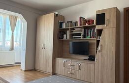 Apartament 2 camere, zona linistita, aer conditionat, boxa
