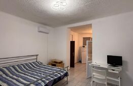 Garosniera spațioasă la casa, 50 mp, zona Traian