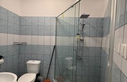 Garosniera spațioasă la casa, 50 mp, zona Traian