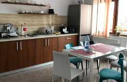 Casa cu 9 camere, 350 mp, 10 parcari, AC, zona Piata Cipariu