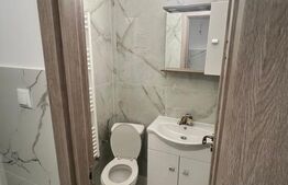 Garsoniera renovata, 21 mp, cartier Bulgaria!