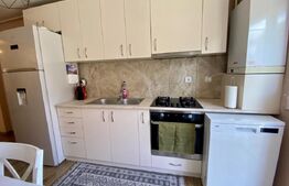 Apartament 3 camere 63,5 mp, balcon 8 mp, garaj, zona Muzeul Apei