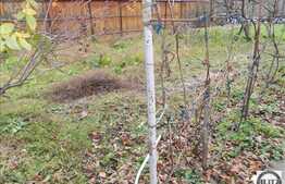 Casa individuala, 40 mp, 957 mp teren, zona de case