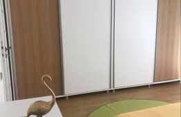 Apartament cu 3 camere, mobilat si utilat, cu gradina, zona Stadionului