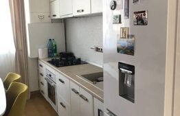 Apartament cu 3 camere, mobilat si utilat, cu gradina, zona Stadionului