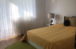 Apartament cu 3 camere, mobilat si utilat, cu gradina, zona Stadionului