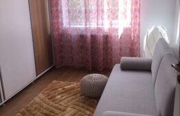 Apartament cu 3 camere, mobilat si utilat, cu gradina, zona Stadionului