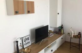 Apartament cu 3 camere, mobilat si utilat, cu gradina, zona Stadionului