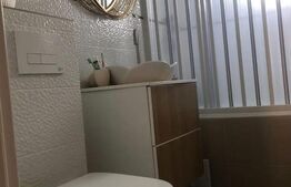 Apartament cu 3 camere, mobilat si utilat, cu gradina, zona Stadionului
