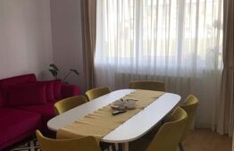 Apartament cu 3 camere, mobilat si utilat, cu gradina, zona Stadionului