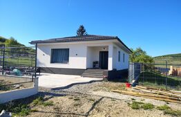 Casă individuală un nivel, aproape de pădure, 130 mp utili, Vâlcele