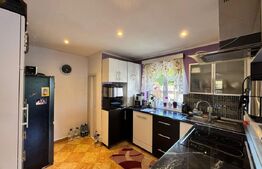OPORTUNITATE! Casa individuala - 370 mp teren, Corneliu Coposu
