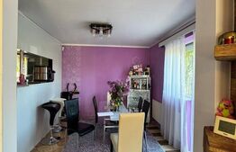 OPORTUNITATE! Casa individuala - 370 mp teren, Corneliu Coposu