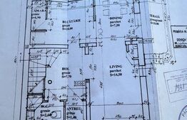 OPORTUNITATE! Casa individuala - 370 mp teren, Corneliu Coposu