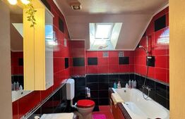OPORTUNITATE! Casa individuala - 370 mp teren, Corneliu Coposu