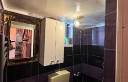 OPORTUNITATE! Casa individuala - 370 mp teren, Corneliu Coposu