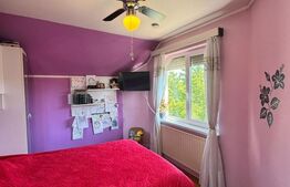 OPORTUNITATE! Casa individuala - 370 mp teren, Corneliu Coposu