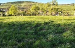 Casă individuală în zonă pitorească, cu 3271 mp teren, Vâlcele-Feleacu