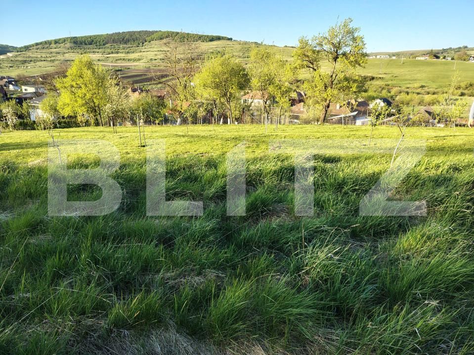 Casa de vânzare 4 camere Valcele - 194371CV | BLITZ Cluj-Napoca | Poza20