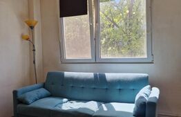 Apartament cu 2 camere, 42 mp, etaj intermediar, zona Horea