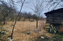 Casa cu teren generos în Ceanu Mic – 1.700 mp, la doar 20 km de Cluj-Napoca
