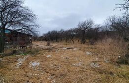 Casa cu teren generos în Ceanu Mic – 1.700 mp, la doar 20 km de Cluj-Napoca