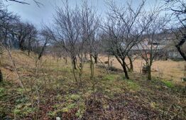Casa cu teren generos în Ceanu Mic – 1.700 mp, la doar 20 km de Cluj-Napoca