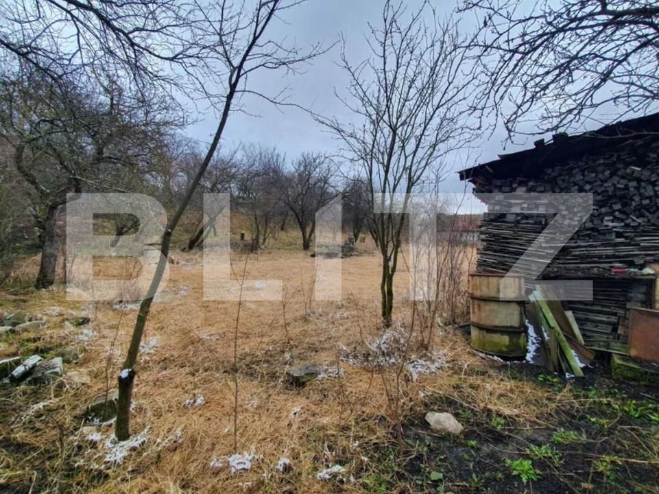 Casa de vânzare 2 camere Ceanu Mic - 194527CV | BLITZ Cluj-Napoca | Poza2