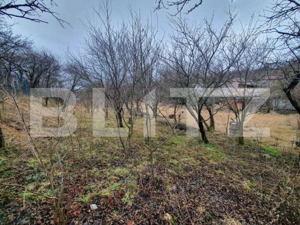 Casa de vânzare 2 camere Ceanu Mic - 194527CV | BLITZ Cluj-Napoca | Poza3