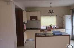 Vanzare casa in Vlaha, 2 unitati de duplex, pretabil si pensiune!