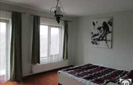 Vanzare casa in Vlaha, 2 unitati de duplex, pretabil si pensiune!