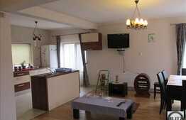 Vanzare casa in Vlaha, 2 unitati de duplex, pretabil si pensiune!