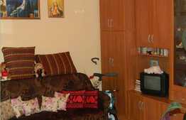 Casa individuala cu 150 mp utili, 750 mp de teren! La 3 minute de LIDL!