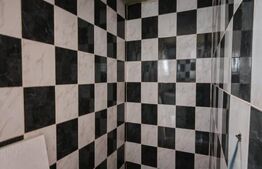 Casa 83 mp, 650 mp teren, in Moldovenesti