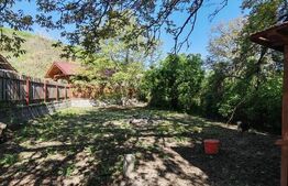 Casa 83 mp, 650 mp teren, in Moldovenesti