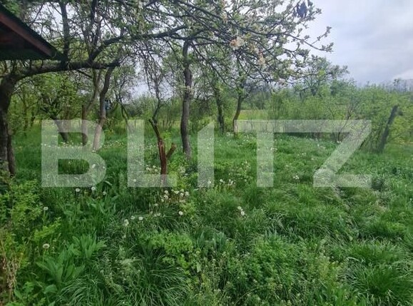 Casa de vânzare 3 camere Sanpaul - 194652CV | BLITZ Cluj-Napoca | Poza14