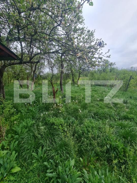 Casa de vânzare 3 camere Sanpaul - 194652CV | BLITZ Cluj-Napoca | Poza14