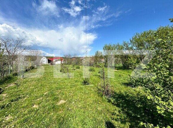 Casa de vânzare 3 camere Bod - 194656CV | BLITZ Brașov | Poza15