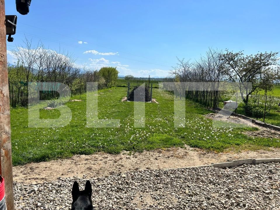 Casa de vânzare 3 camere Bod - 194656CV | BLITZ Brașov | Poza13